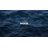 60-Inch Curved Fixed Shower Curtain Rod - Chrome Bathroom Hardware