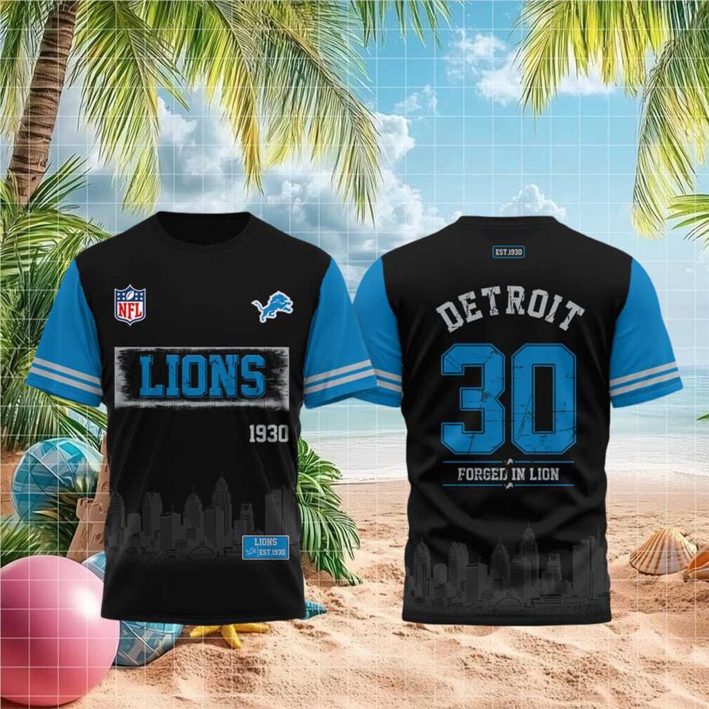 Detroit Lions Est 1930 Skyline T-Shirt Detroit Lions Merch Best Gift For Football Lovers