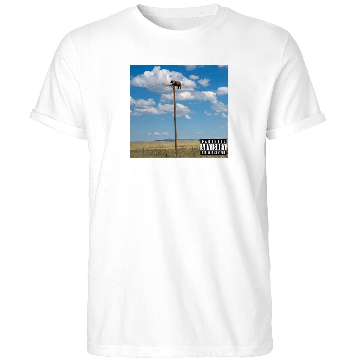 Bear On Top Of The Light Pole Shirt Funny T-Shirt Gifts For Best Friends